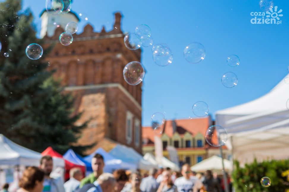 Sandomierz stanie się stolicą czekolady 