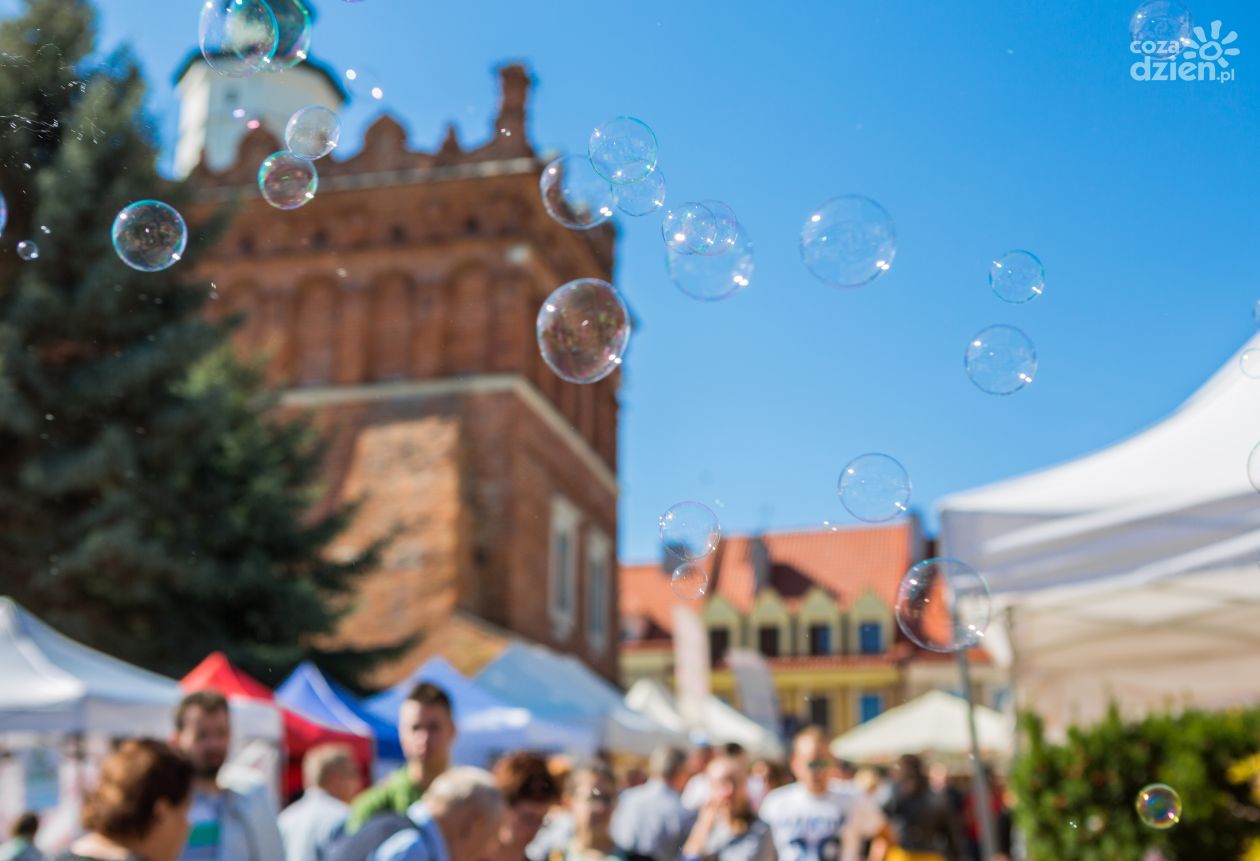 Sandomierz stanie się stolicą czekolady 