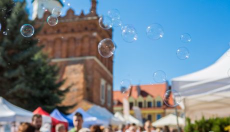 Sandomierz stanie się stolicą czekolady 