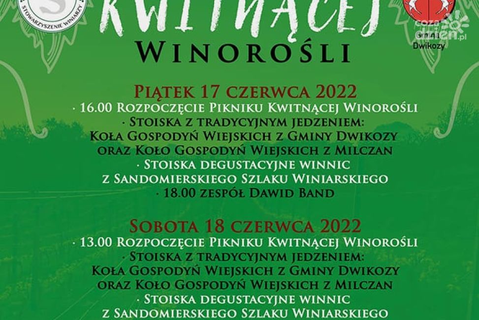 Piknik Kwitnącej Winorośli