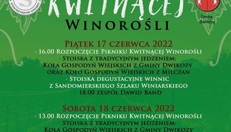 Piknik Kwitnącej Winorośli