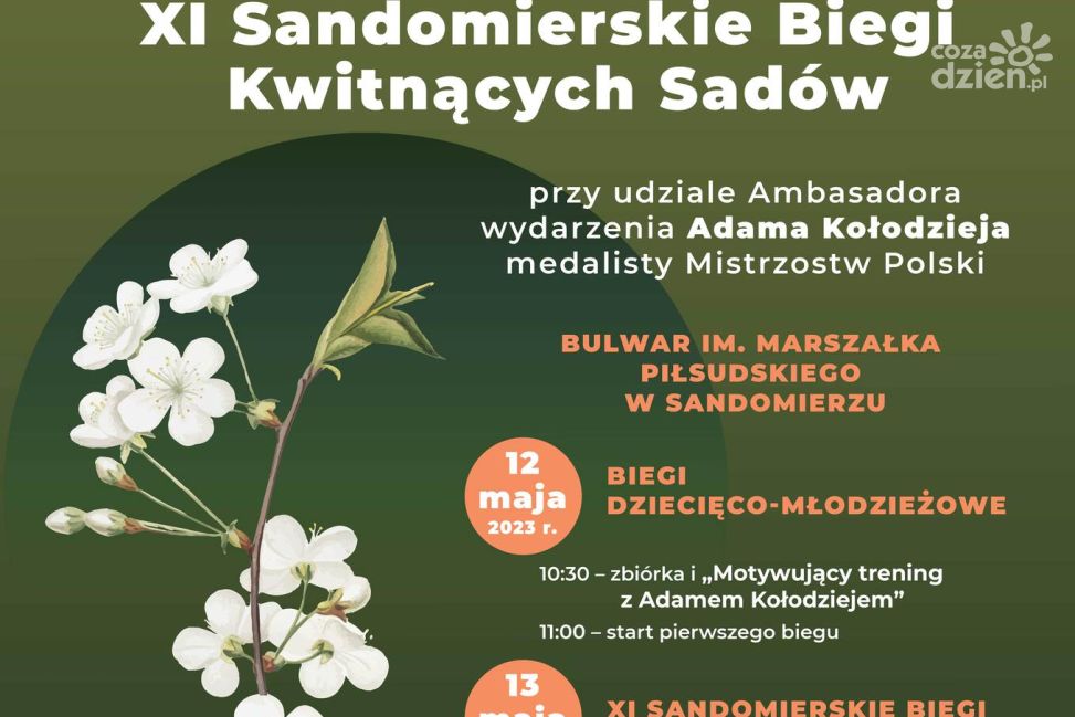 W królewskim mieście odbędą się tradycyjne biegi wokół sandomierskich sadów