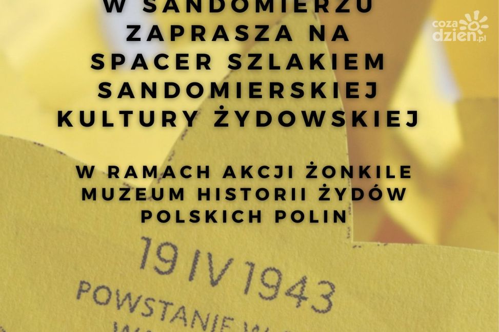 Akcja Żonkile 2024 - Łączy nas pamięć w Muzeum Zamkowym w Sandomierzu