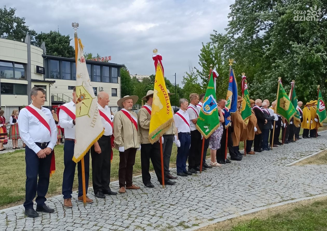 Sandomierz zamienił się w miasto miodu