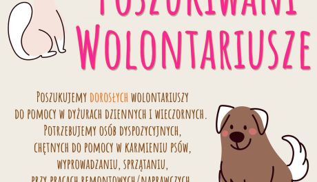 Poszukiwani wolontariusze do schroniska. W zamian? Przyjemność z bycia ze zwierzętami