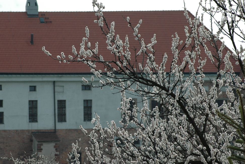 "Letnie Czwartki" w Muzeum Zamkowym w Sandomierzu