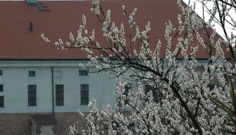 "Letnie Czwartki" w Muzeum Zamkowym w Sandomierzu