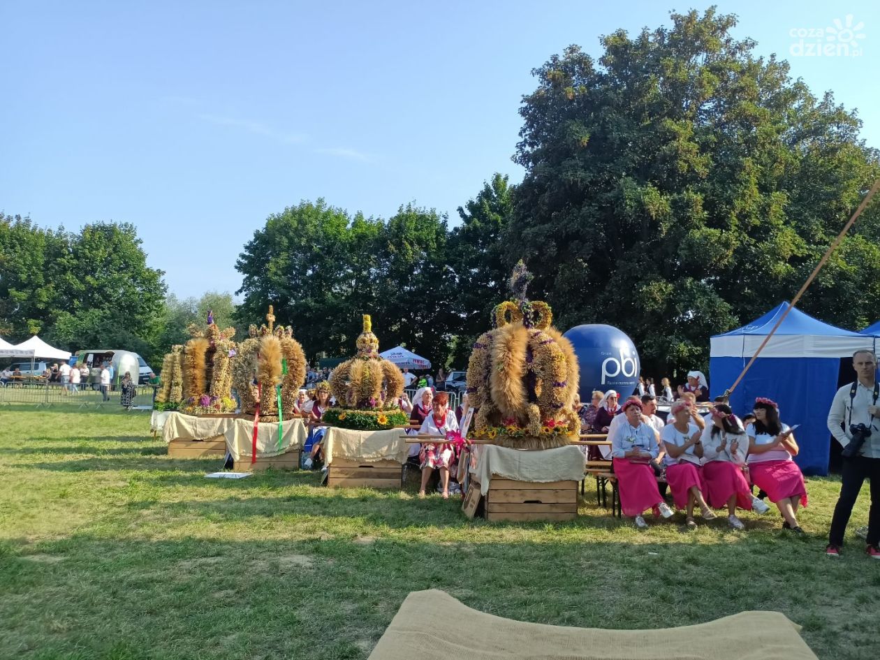 Powiatowe Święto Plonów na sandomierskich błoniach