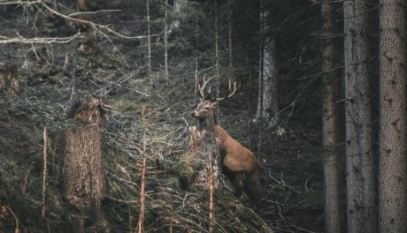 Warsztaty fotograficzne 