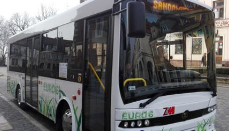 Rozkład jazdy autobusów w okresie świąteczno-noworocznym