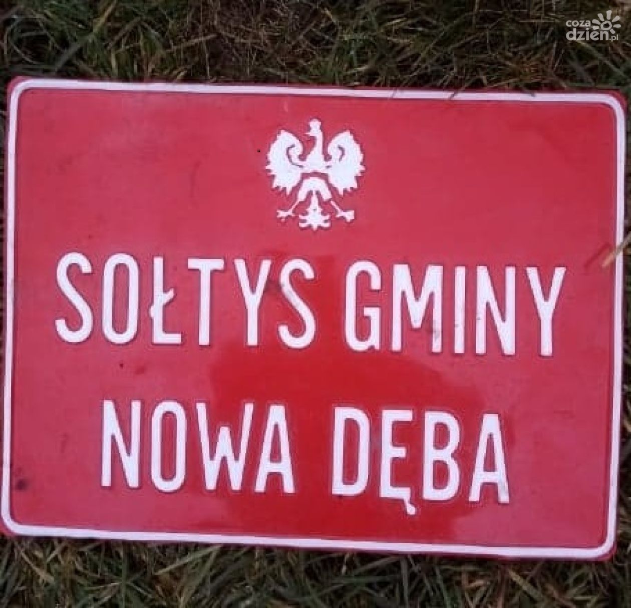 Swoich reprezentantów wybiorą mieszkańcy gminy Nowa Dęba