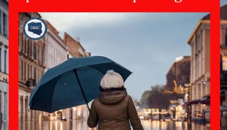 Oszuści w Internecie