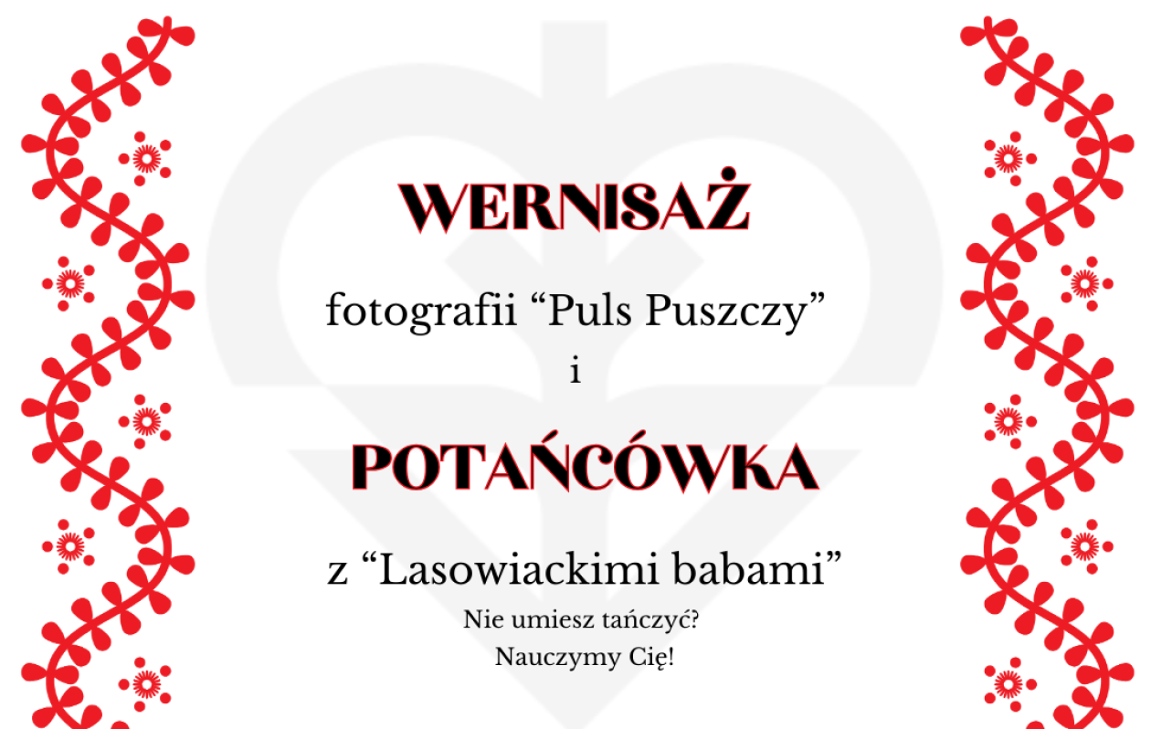 Potańcówka z Pulsem Puszczy