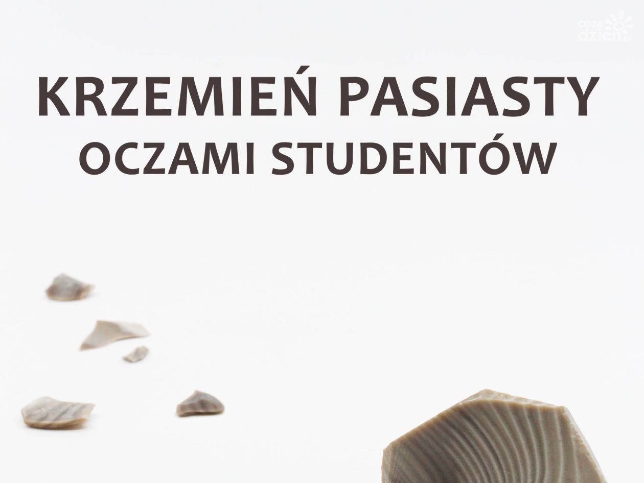 Krzemień pasiasty oczami studentów