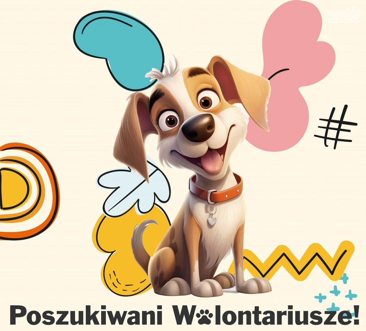 Wolontariusze na wagę złota