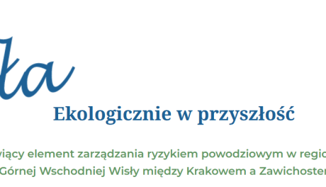 Konsultacje społeczne "Bezpieczna Wisła"