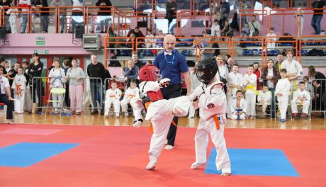 XI Mikołajkowy Turniej Karate Dzieci i Młodzieży