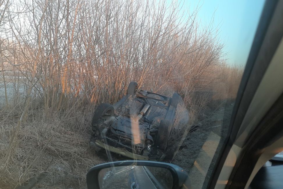 Zderzenie z sarną w Chmielowie