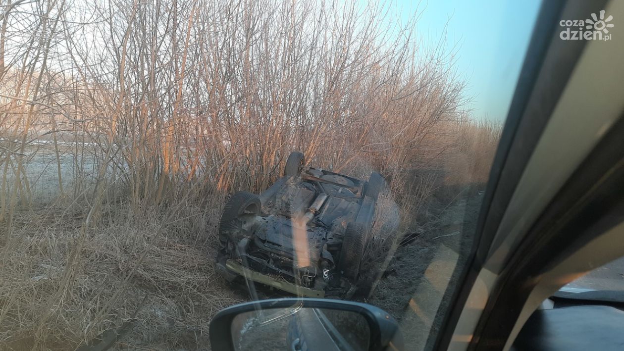 Zderzenie z sarną w Chmielowie