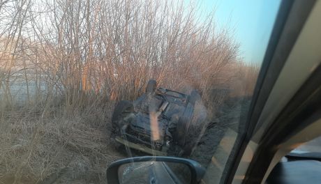 Zderzenie z sarną w Chmielowie