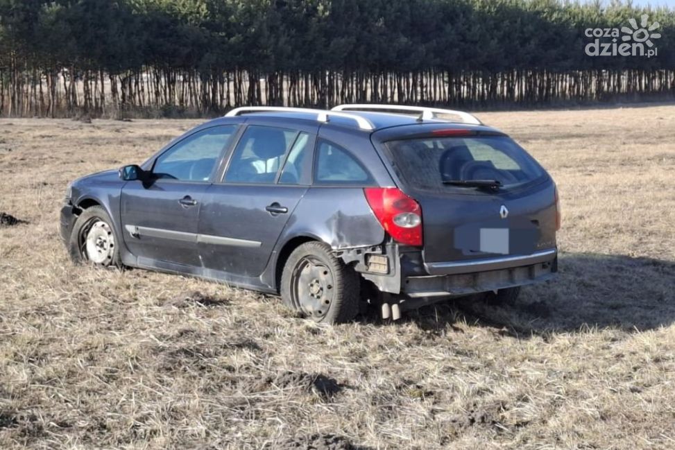 Pijany kierowca zakończył jazdę na pastwisku