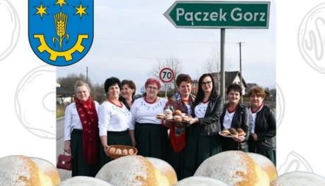 Pączki z... Pączka!