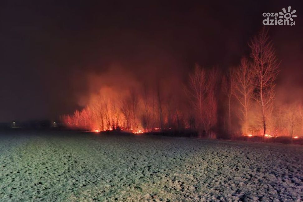 Kolejna doba z pożarami traw