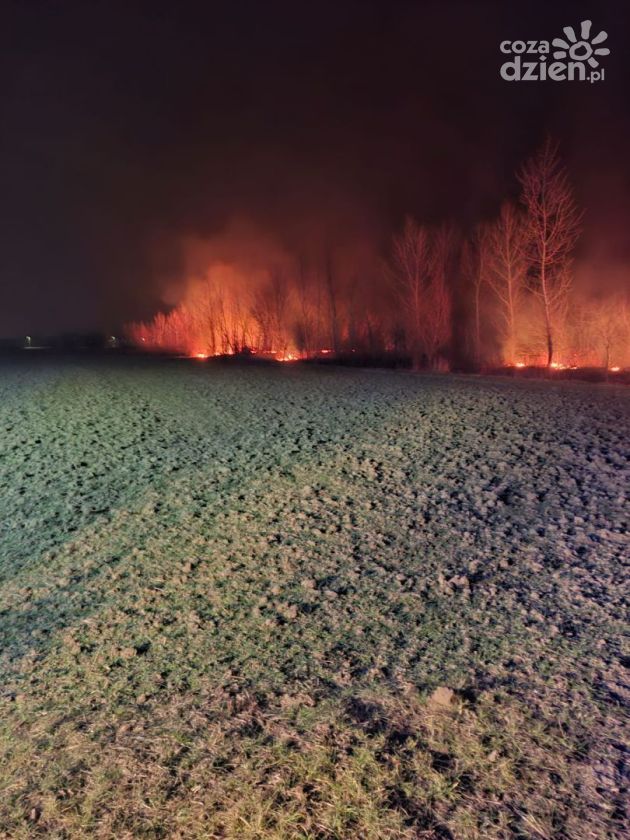 Kolejna doba z pożarami traw