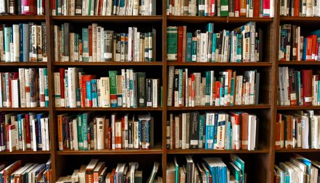 Tydzień Bibliotek 2025 w Sandomierzu