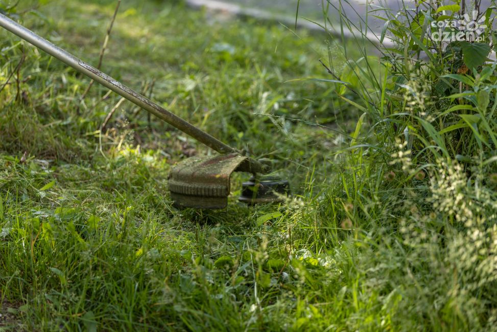 Koszą, porządkują, dbają – letnie utrzymanie dróg w pełni