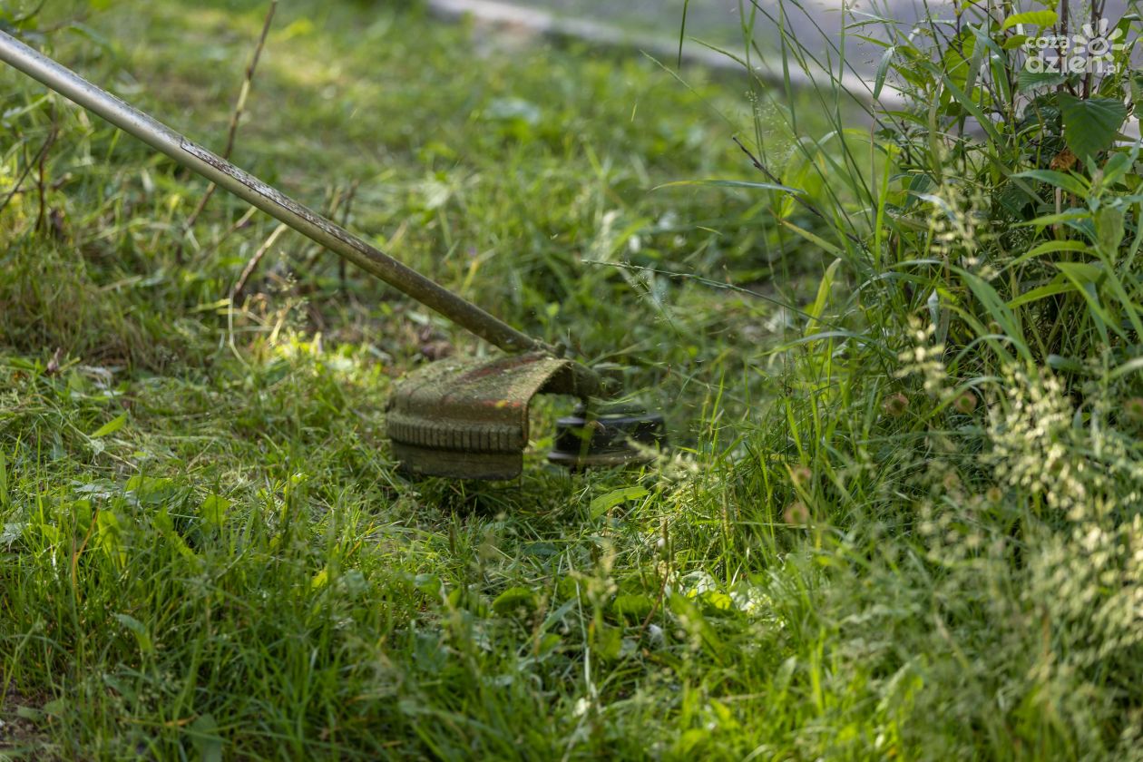 Koszą, porządkują, dbają – letnie utrzymanie dróg w pełni