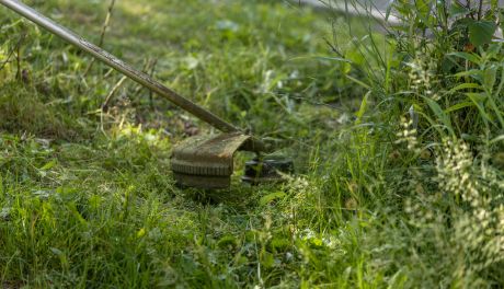 Koszą, porządkują, dbają – letnie utrzymanie dróg w pełni