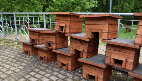 Osiedle dla jeży w Sandomierzu. 16 domków już czeka na nowych, kolczastych lokatorów