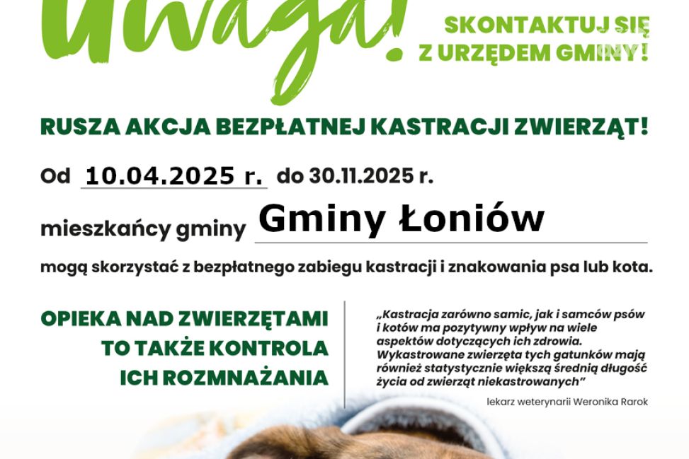 Gmina Łoniów rusza z bezpłatną akcją kastracji zwierząt