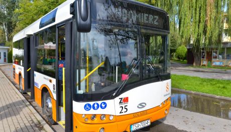 Bezpłatna komunikacja miejska w Sandomierzu w dniu wyborów