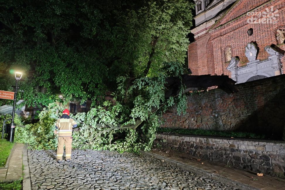 Burzowa noc w powiecie sandomierskim – strażacy mieli pełne ręce roboty