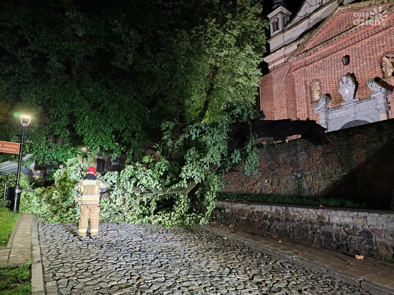Burzowa noc w powiecie sandomierskim – strażacy mieli pełne ręce roboty