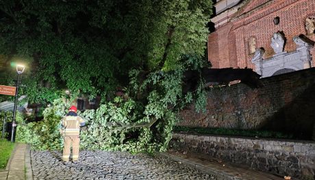 Burzowa noc w powiecie sandomierskim – strażacy mieli pełne ręce roboty
