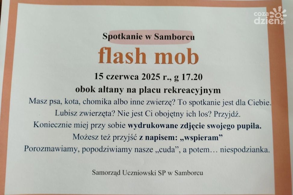 Zwierzęcy flash mob w Samborcu. Uczniowie organizują nietypowe spotkanie