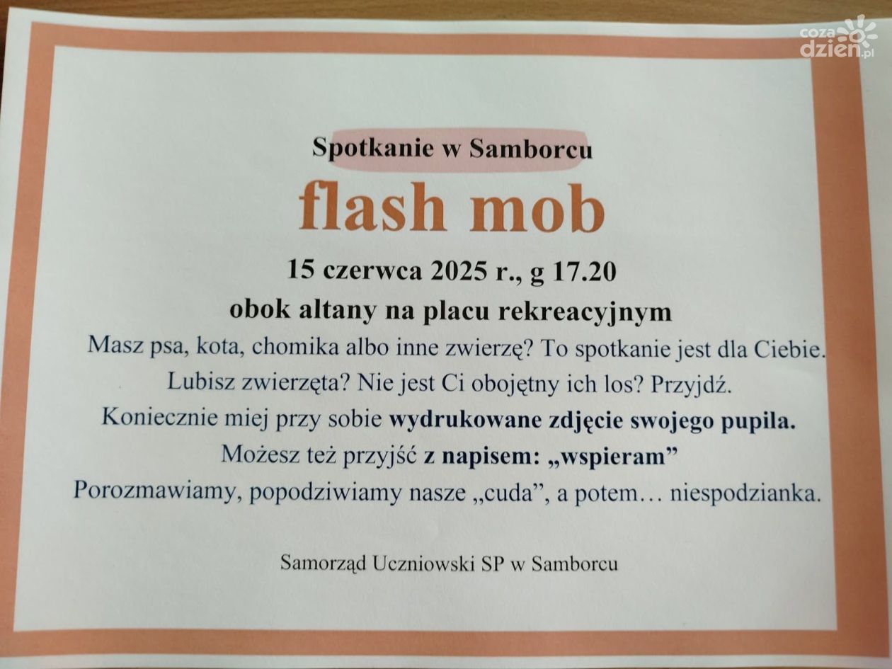 Zwierzęcy flash mob w Samborcu. Uczniowie organizują nietypowe spotkanie