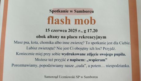 Zwierzęcy flash mob w Samborcu. Uczniowie organizują nietypowe spotkanie