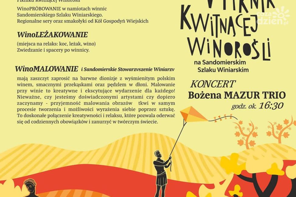 V Piknik Kwitnącej Winorośli w Sandomierzu – święto wina, relaksu i sztuki już 21 czerwca