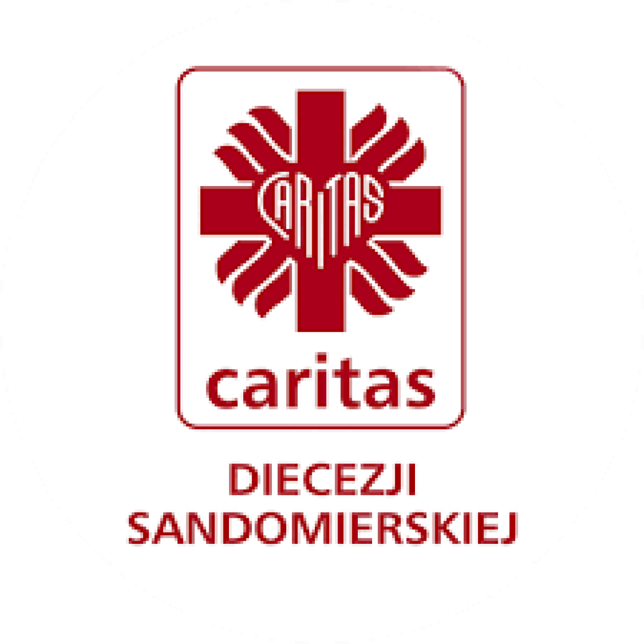 Pomoc żywnościowa dla mieszkańców regionu. Caritas rozpoczyna drugą turę wydawania paczek