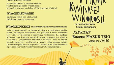 V Piknik Kwitnącej Winorośli w Sandomierzu – święto wina, relaksu i sztuki już 21 czerwca