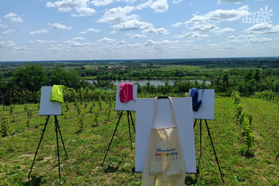 V Piknik Kwitnącej Winorośli (ZDJĘCIA)