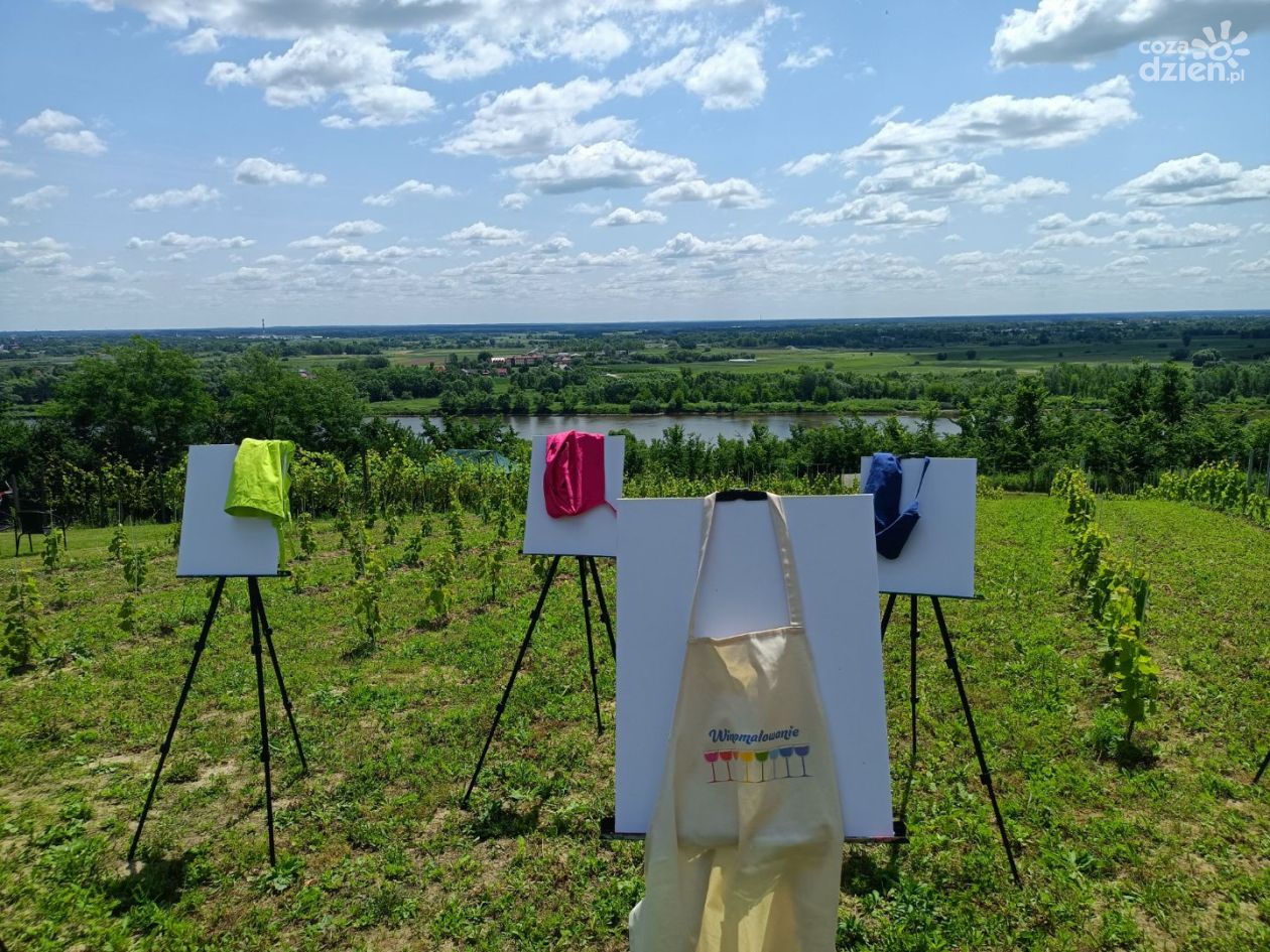 V Piknik Kwitnącej Winorośli (ZDJĘCIA)