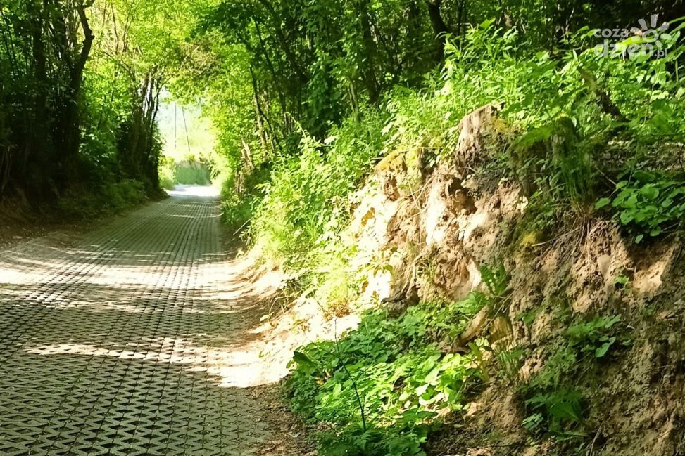 Radny apeluje o ratunek dla przyrodniczego wąwozu przy ul. Podmiejskiej