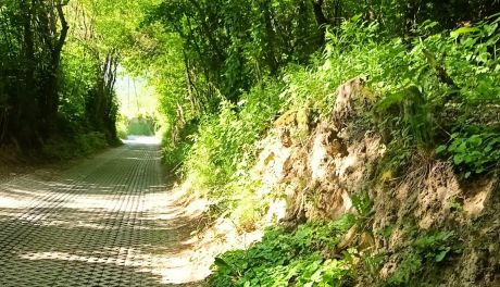 Radny apeluje o ratunek dla przyrodniczego wąwozu przy ul. Podmiejskiej