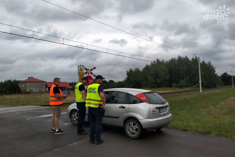 Akcja "Bezpieczny przejazd" w powiecie tarnobrzeskim – mandaty za lekceważenie czerwonego światła