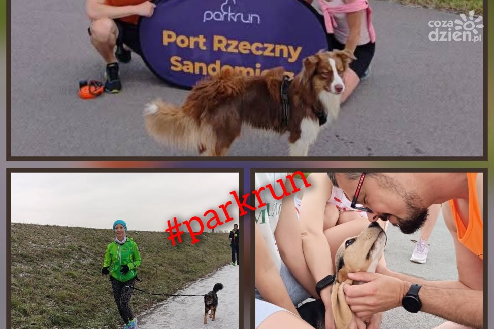 Psi parkrun w Sandomierzu! 93. edycja z okazji Dnia Psa już w sobotę, 5 lipca